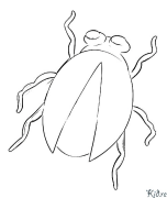 firefly Coloring Pages To Print